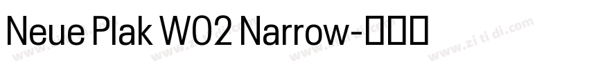 Neue Plak W02 Narrow字体转换